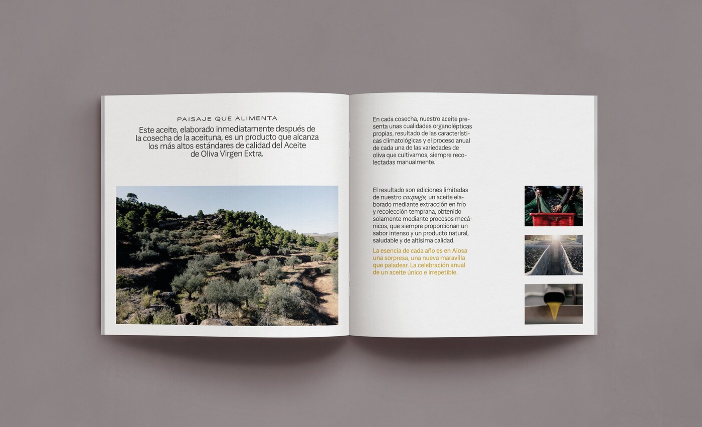 Diseño editorial del catálogo corporativo de aceite de oliva virgen extra Aiosa 4
