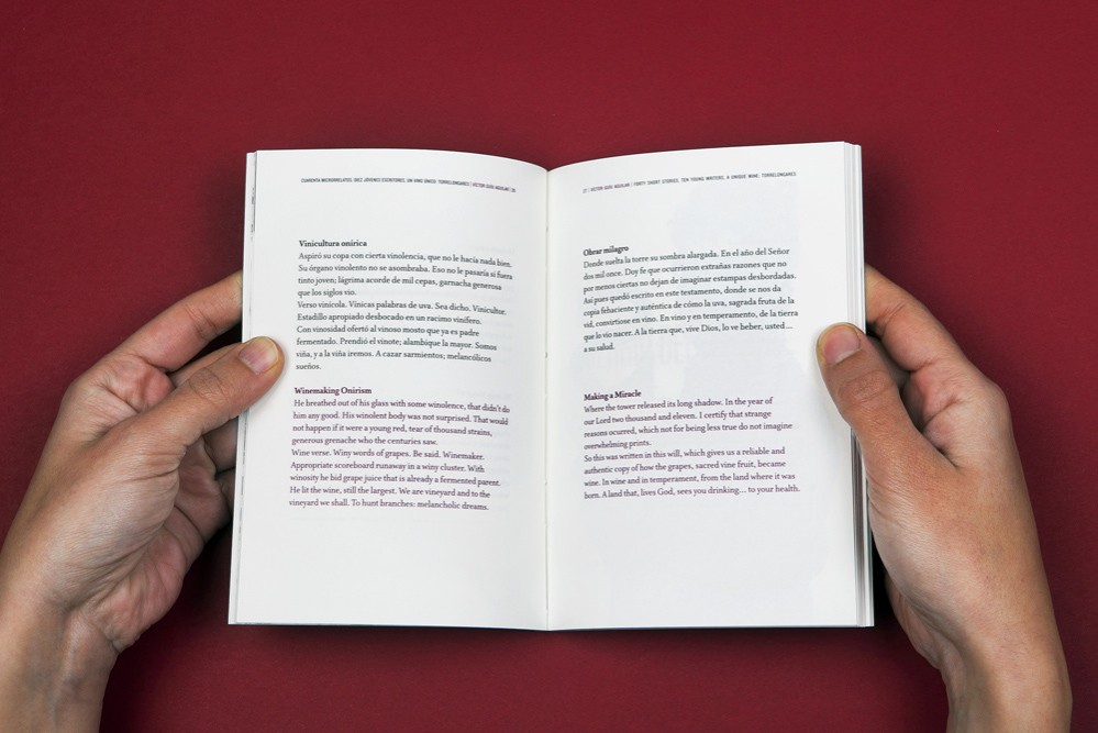 Editorial-Torrelongares-16